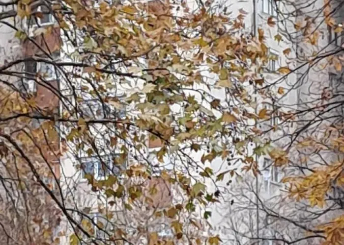 Dani's Luxury 5 Min From Center Skopje